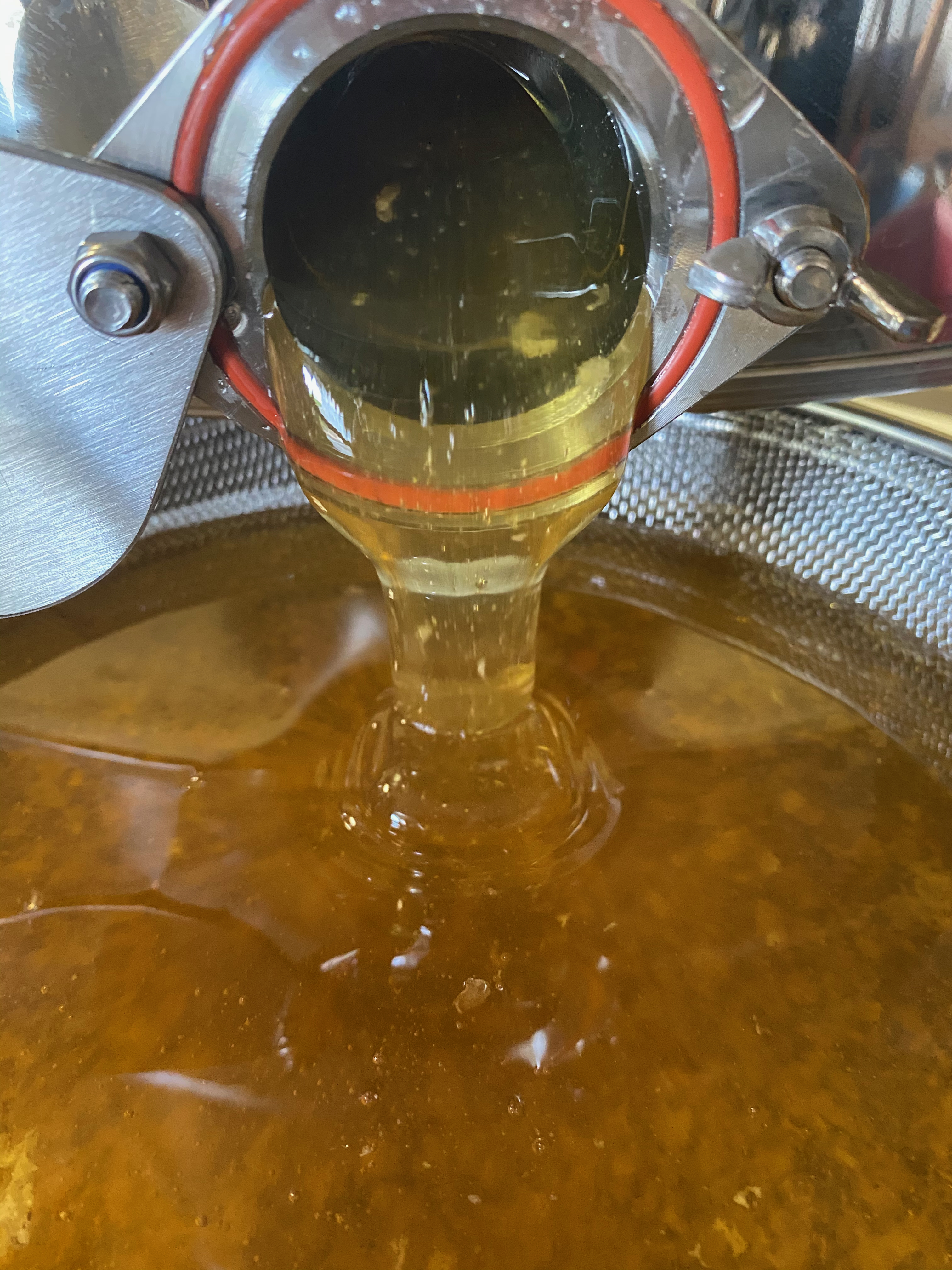 Frischer Honig direkt aus der Schleuder