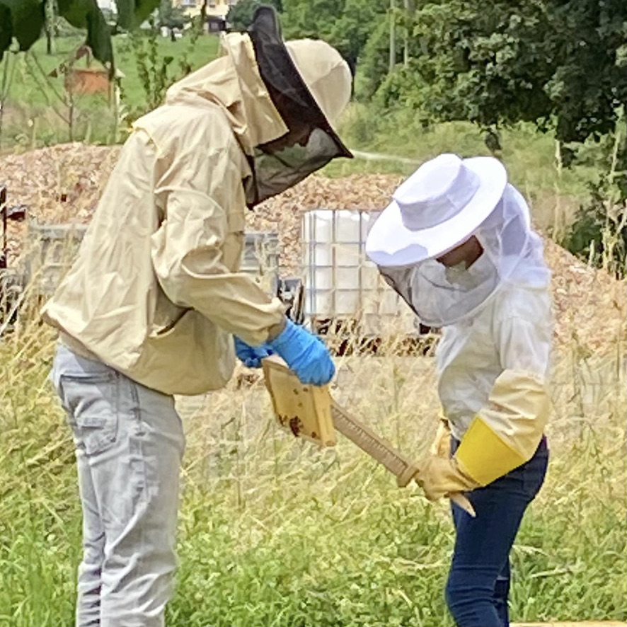 Imker bei der Wabenkontrolle im Schutzanzug